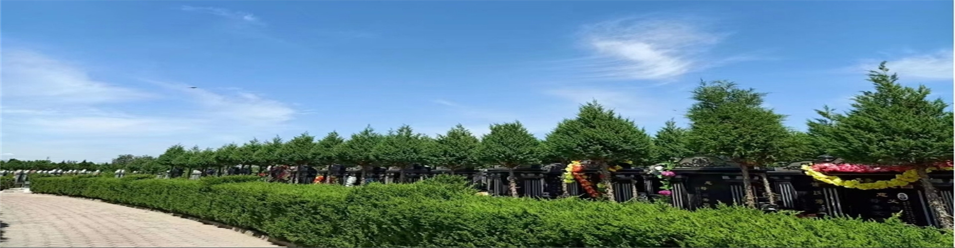 微信截图_20241111202409.jpg
